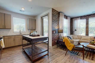 open kitchen adjacent to living room in bright apartment
